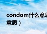 condom什么意思中文翻译（condom什么意思）