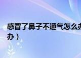 感冒了鼻子不通气怎么办速效办法（感冒了鼻子不通气怎么办）