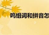 呜组词和拼音怎么写（呜组词和拼音）