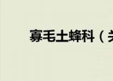 寡毛土蜂科（关于寡毛土蜂科介绍）