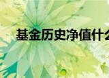 基金历史净值什么意思（基金历史净值）