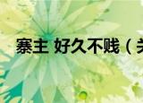 寨主 好久不贱（关于寨主 好久不贱介绍）