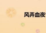 风弄血夜txt（风弄血夜）