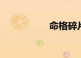命格碎片（命格碎片）