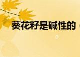 葵花籽是碱性的（葵花籽是碱性食物吗）