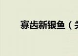 寡齿新银鱼（关于寡齿新银鱼介绍）