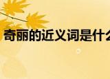 奇丽的近义词是什么（奇丽的近义词是什么）