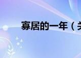 寡居的一年（关于寡居的一年介绍）