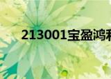 213001宝盈鸿利天天基金（213001）