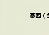寨西（关于寨西介绍）