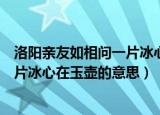 洛阳亲友如相问一片冰心在玉壶的品质（洛阳亲友如相问一片冰心在玉壶的意思）