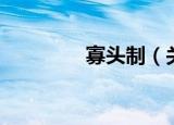 寡头制（关于寡头制介绍）