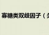 寡糖类双歧因子（关于寡糖类双歧因子介绍）