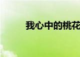我心中的桃花源（我心中的雷锋）