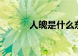 人魄是什么东西（人魄是什么）