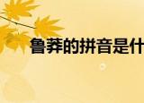 鲁莽的拼音是什么样的（鲁莽的拼音）