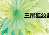 三尾狐纹身（三尾狐御魂）