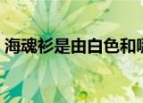 海魂衫是由白色和哪种颜色组成的（海魂曲）