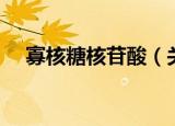 寡核糖核苷酸（关于寡核糖核苷酸介绍）