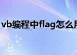 vb编程中flag怎么用（vb中flag是什么意思）