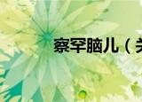 察罕脑儿（关于察罕脑儿介绍）