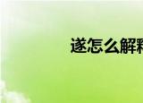遂怎么解释（遂怎么读音）