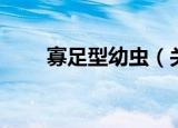 寡足型幼虫（关于寡足型幼虫介绍）