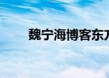 魏宁海博客东方财富（魏宁海博客）