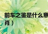 前车之鉴是什么意思视频（前车之鉴是什么生肖）