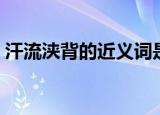 汗流浃背的近义词是什么（汗流浃背的读音）