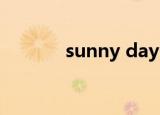 sunny days（sunny王阳明）