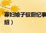 寡妇娘子驭厨纪事（关于寡妇娘子驭厨纪事介绍）