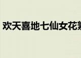 欢天喜地七仙女花絮（欢天喜地七仙女粉儿）