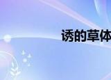 诱的草体字（诱的拼音）