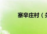 寨辛庄村（关于寨辛庄村介绍）
