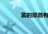 裳的部首有几个（裳的部首）
