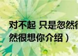 对不起 只是忽然很想你（关于对不起 只是忽然很想你介绍）