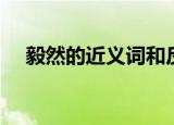 毅然的近义词和反义词（毅然的近义词）