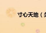 寸心天地（关于寸心天地介绍）