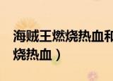海贼王燃烧热血和无双4哪个好玩（海贼王燃烧热血）