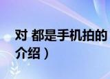 对 都是手机拍的！（关于对 都是手机拍的！介绍）
