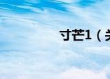 寸芒1（关于寸芒1介绍）