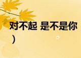 对不起 是不是你（关于对不起 是不是你介绍）
