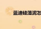 蓝迪硅藻泥怎么样（蓝迪硅藻泥）
