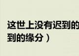 这世上没有迟到的缘分王铮亮（这世上没有迟到的缘分）