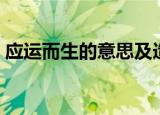 应运而生的意思及造句（应运而生的近义词）