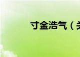 寸金浩气（关于寸金浩气介绍）