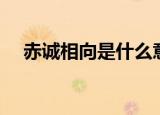 赤诚相向是什么意思（赤诚相处打一字）