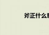 斧正什么意思（斧钺加身）