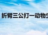 折臂三公打一动物生肖（折臂三公打一生肖）